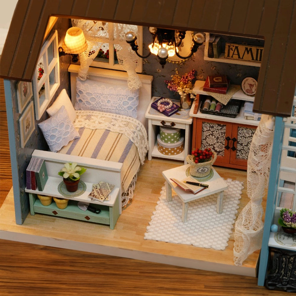 DIY House