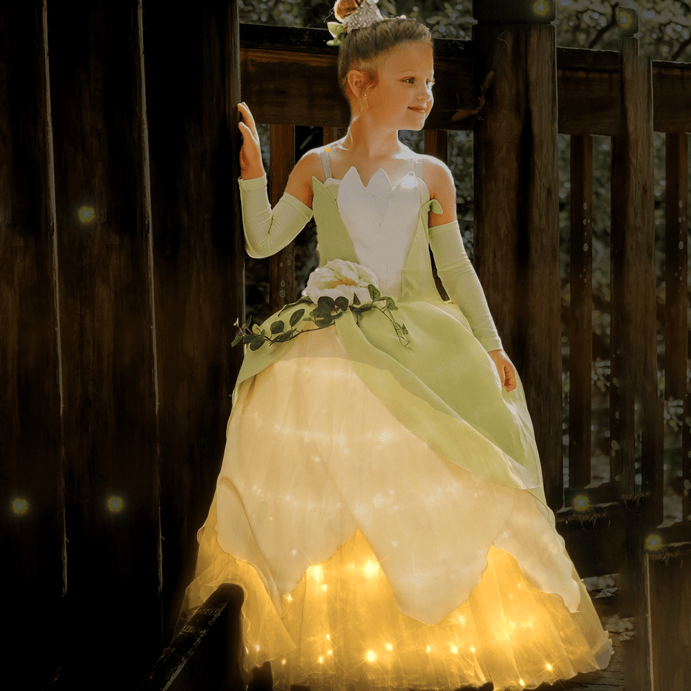 Princess Light Up Dress